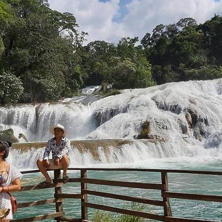 Posada Tzeltal Arroyo Agua Azul Eksteriør bilde