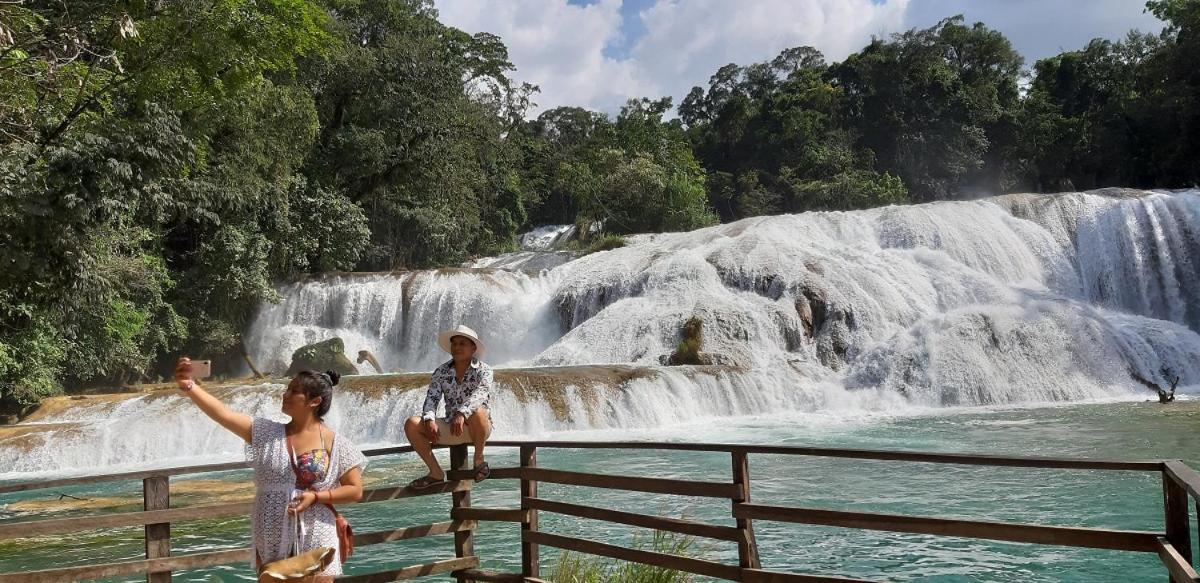 Posada Tzeltal Arroyo Agua Azul Eksteriør bilde