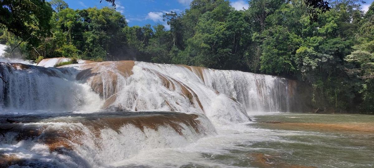 Posada Tzeltal Arroyo Agua Azul Eksteriør bilde
