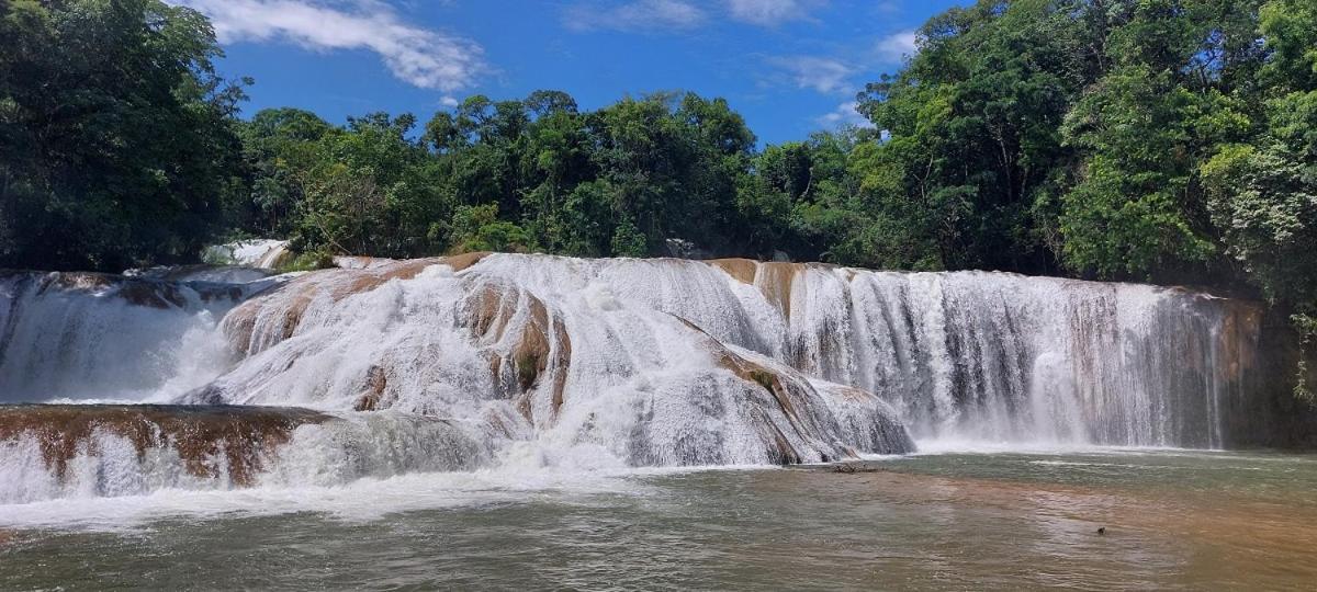 Posada Tzeltal Arroyo Agua Azul Eksteriør bilde